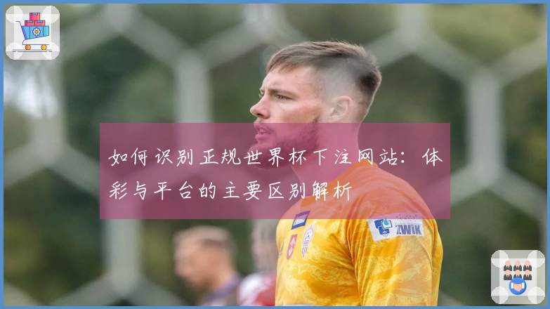 如何识别正规世界杯下注网站：体彩与平台的主要区别解析