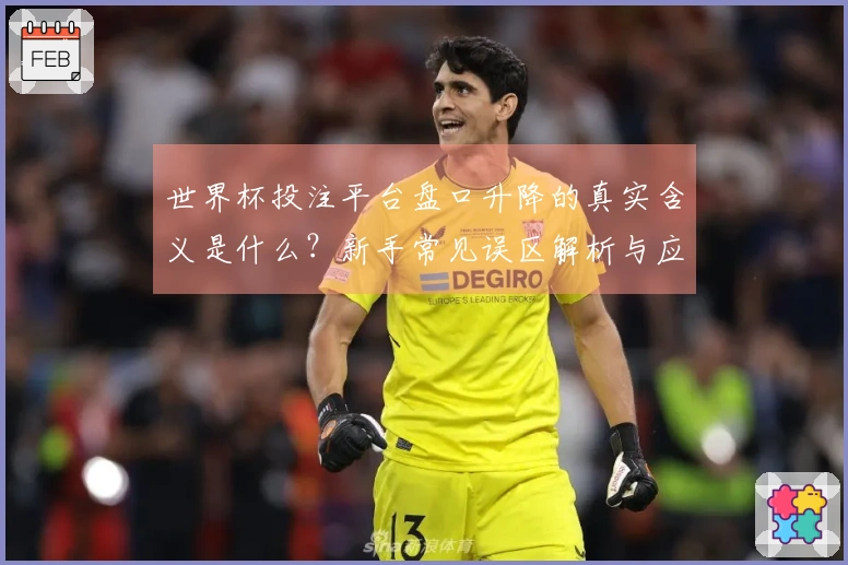世界杯投注平台盘口升降的真实含义是什么？新手常见误区解析与应对策略