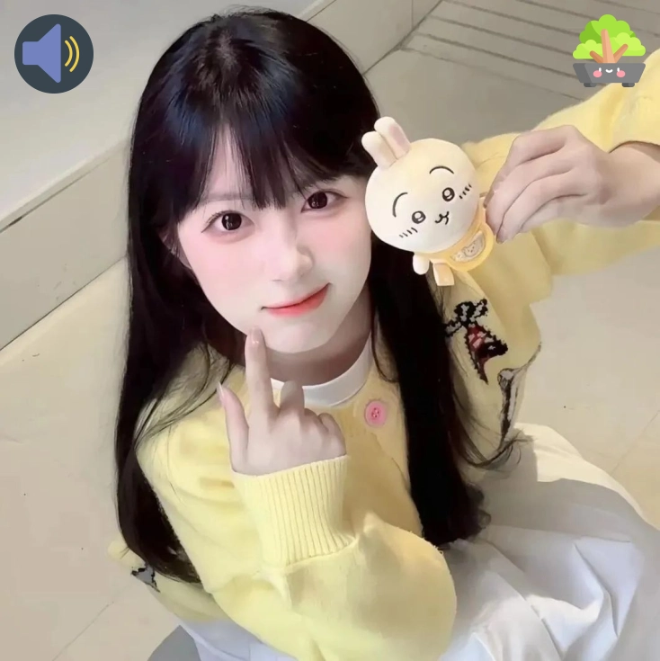 用户评价